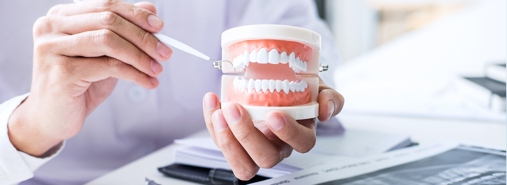 A person holding a cup of toothpaste with a model mouth, possibly for dental care demonstration.